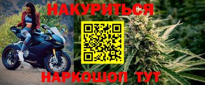 крисы Будённовск