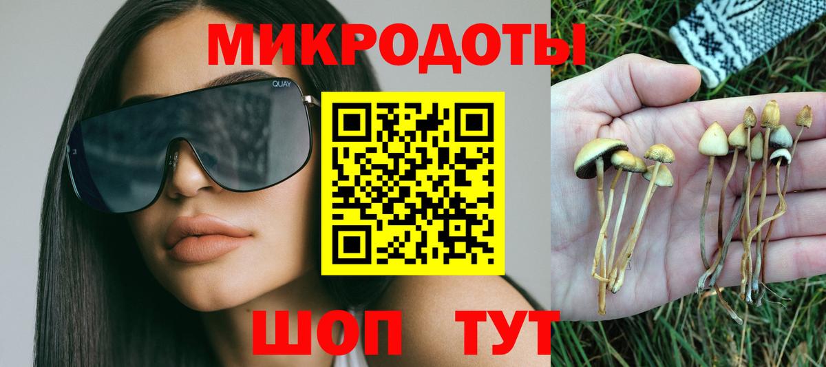 Псилоцибиновые грибы Psilocybe  цены наркотик  Вход с VPN  Кыштым  Галлюциногенные грибы прущие грибы 