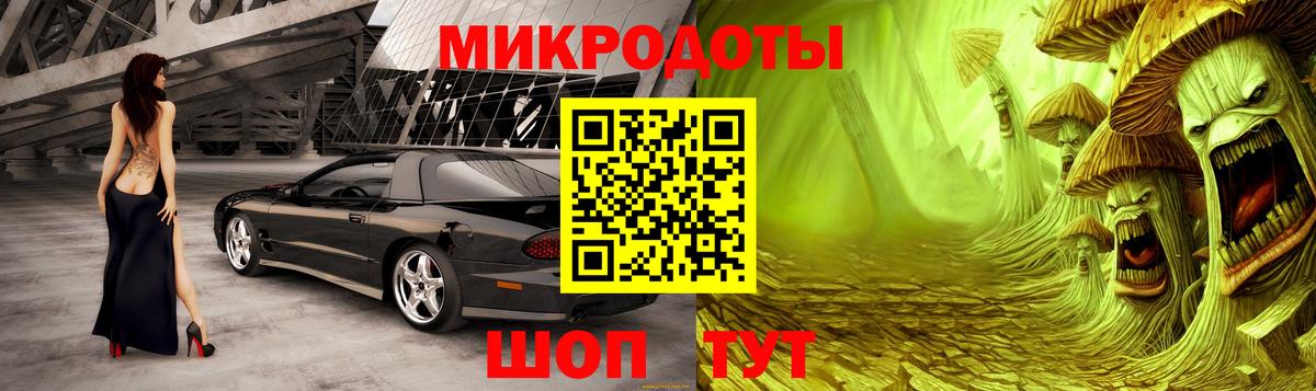 Псилоцибиновые грибы Psilocybe Кыштым